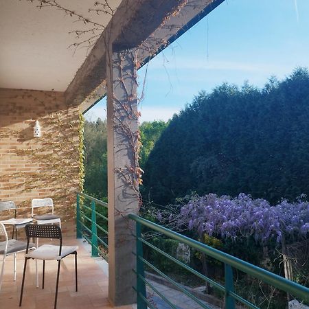 Casa Campo Ao Rio_Village バルセロス エクステリア 写真