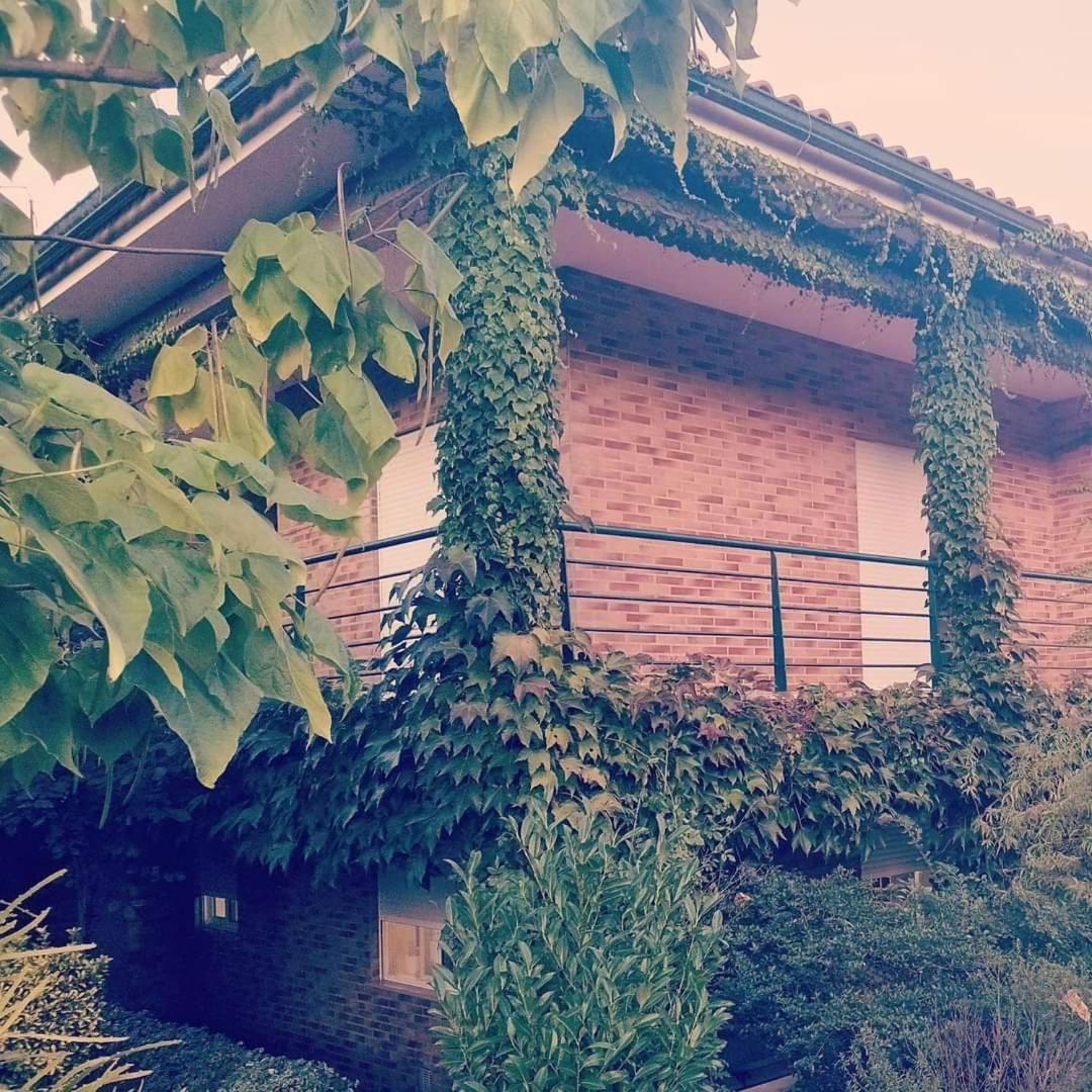 Casa Campo Ao Rio_Village バルセロス エクステリア 写真