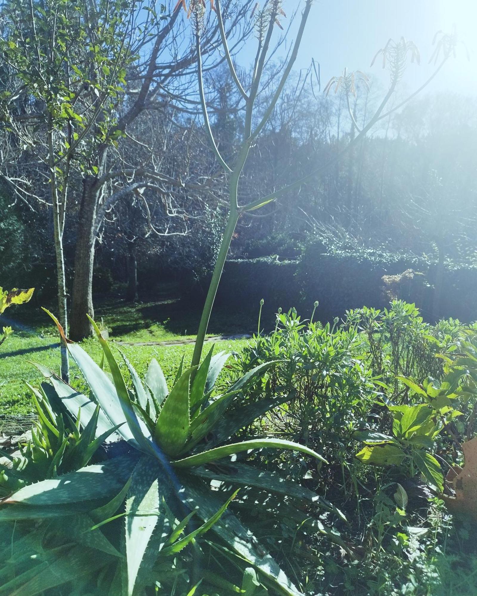 Casa Campo Ao Rio_Village バルセロス エクステリア 写真