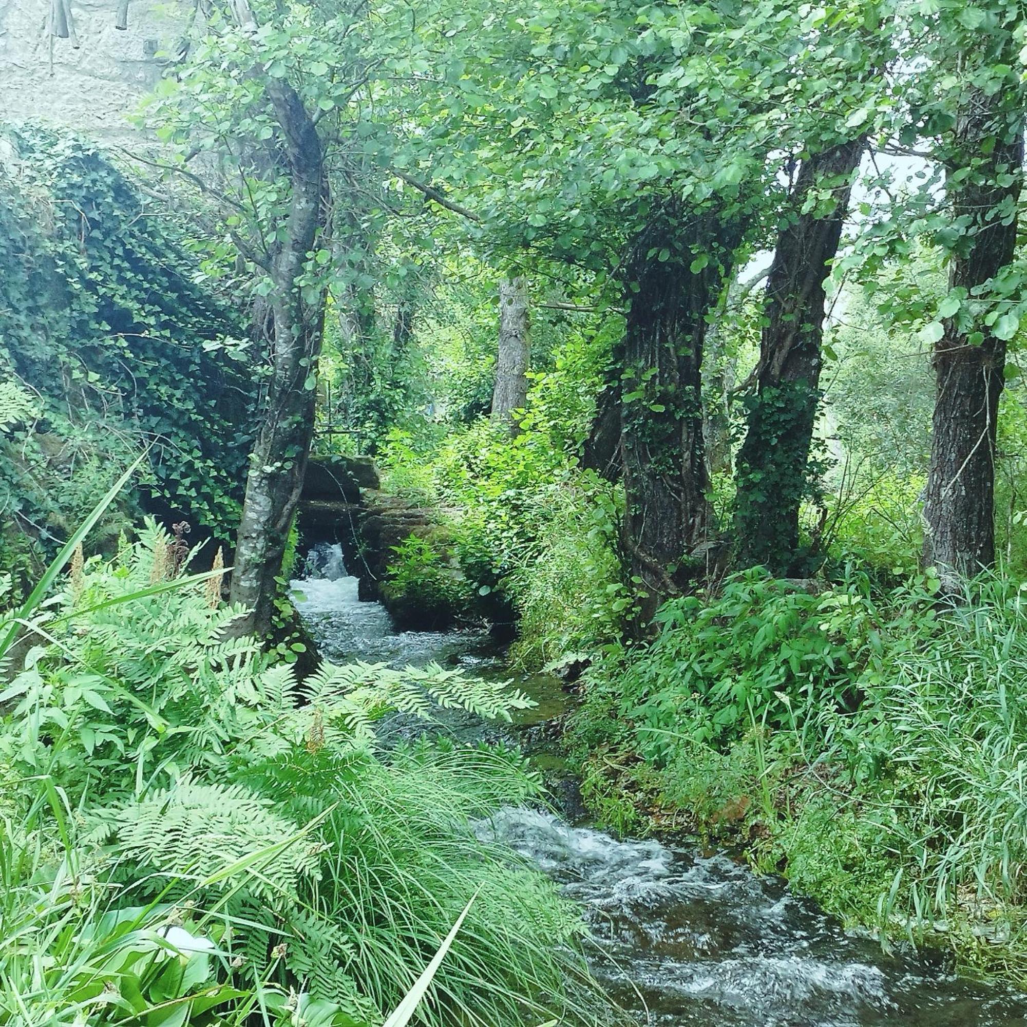 Casa Campo Ao Rio_Village バルセロス エクステリア 写真